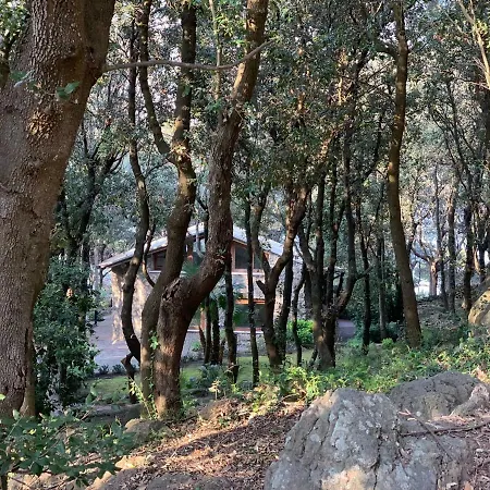 Hotel Mezzatorre & Thermal Forio di Ischia